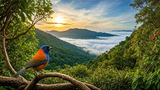 Wayanad Sky Islands Soar: 156 Bird Species Documented in Major Survey