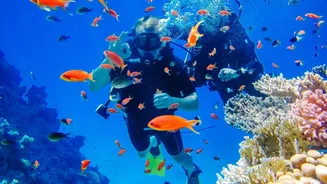 Top scuba diving destinations in India for thrilling summer adventure