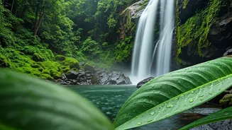 Wayanad Waterfalls To Udaipur Palaces: Choose Your Rain