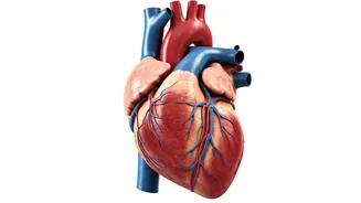 Fitness Coach's Fat Loss Secrets: Insights and Real-World Application