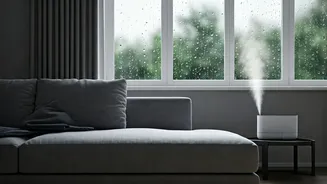 Rainy Homes Need A Soft Reset Now