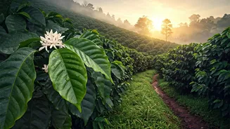 India's Best Monsoon Secrets You'll Love