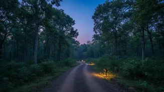 Lucknow’s Kukrail Forest Is Preparing For India’s First Urban Night Safari