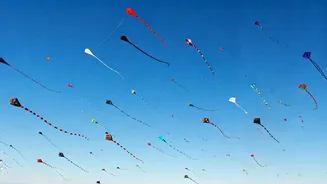 Soaring High: A World Tour of Kite Festivals
