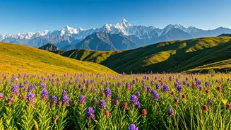 Hike Uttarakhand High Alpine Meadows Blossoming For Travel Season