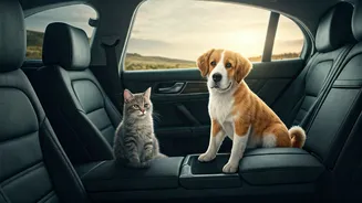 India Embraces Pet-First Travel: A New Era of Inclusive Journeys