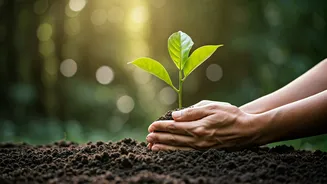 Unlock Inner Peace: Craft Your Personal Nature Ritual for Lasting Well-being