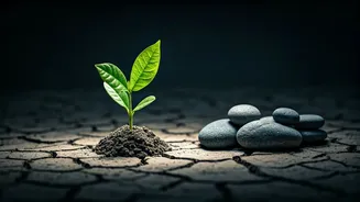 Salary Growth Without SIP Growth? Costly Mistake
