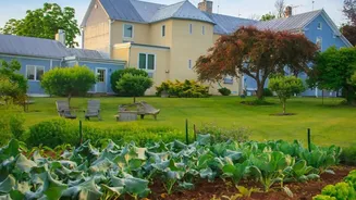 Fresh Interest in Seasonal Home Gardening Turns Rabi Timing into a Reader-Service Question