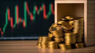 KRM Ayurveda IPO: Stellar Subscription Numbers!