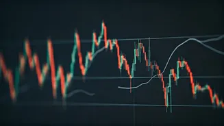 HAL's Stock Dips: Q2 Results & Future Outlook