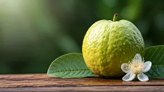 Guava Crowned Monsoon Immunity Superfruit