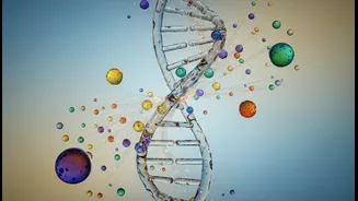 Commercial DNA Diets Need Transparent Evidence Behind Every Claim