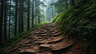 Alum Cave Trail: Deceptive Dangers of Great Smoky Mountains' Most Popular Hike