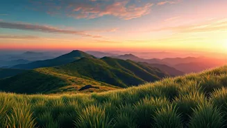 Beat the Heat: Bangalore's Top Summer Escapes for Refreshing Getaways