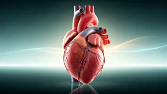 Guard Your Heart: Expert Tips for a Healthier You - Small Changes, Major Lifesaving Impact