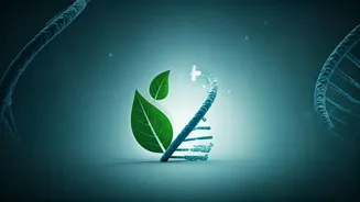 Related Stories banner