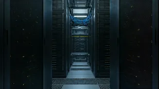 IT Sector Poised for Growth: Tata Elxsi & LTTS in Focus