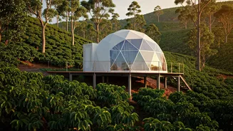 Book Secluded Geodesic Cabins Overlooking Chikmagalur Spice Farms Instantly