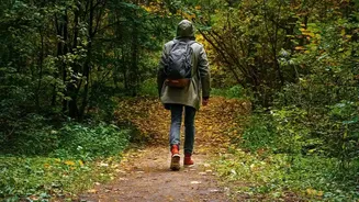 Why Satpura National Park Is Ideal For Walking Safaris This Autumn