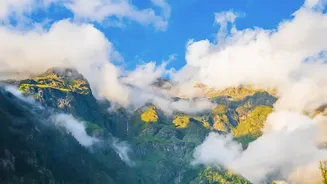 Kasol And Jibhi Workations: Budget Mountain Stays For Remote Workers This Autumn