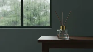 How To Keep Rooms Fresher When Rain Prevents Frequent Ventilation