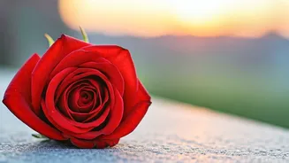 Breaking Up & Moving On: A Guide to Self-Love