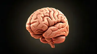 Boosting Your Mental Fitness: A Practical Guide