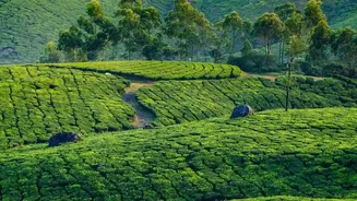 How Indian Passport Holders Can Enjoy Low Cost Travel Across Sri Lanka Tea Country