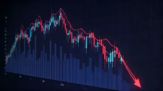 Indian Stock Market's Sudden Slump: Key Insights