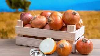 First Air Shipment Shows Post-Harvest Handling Matters as Much as Variety