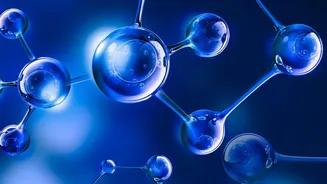 Why Nutrient Synergy Matters: The Biological Mechanism Of Calcium Vitamin D3 And K2 Interaction