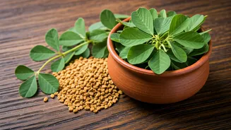 Methi Makes Everyday Dishes Taste More Interesting