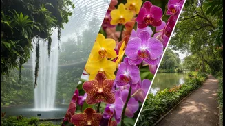 Garden Hopping in Singapore Can Cover Rainforest, Orchids, Spices and Lakeside Paths