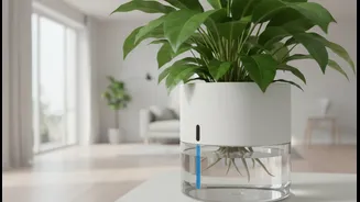 Self-Watering Containers Offer A Practical Hack For Plant Care Beginners