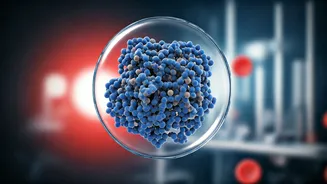 Revolutionary Blood Test Detects Early Alzheimer's Through Protein Structure