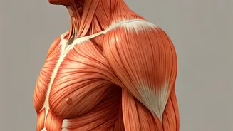 5 Exercises to Soothe Shoulder Pain: A Simple Guide