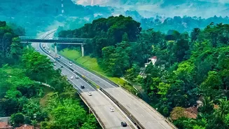 Scenic Travel Options Drive From Bengaluru To Green Wayanad Rainforests Over Quick Weekends