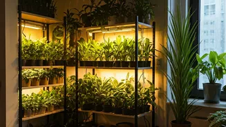 Grow Lights Are Finally Practical For Indian Apartments
