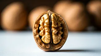 Unlocking Walnut Wonders: A Harvard Doctor's Daily Dose