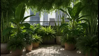 Urban Gardening Enthusiasts Are Choosing Cooling Plants Over Decorative Designs