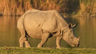 India's Wildlife Reports: Looking Beyond Headlines To The Evidence