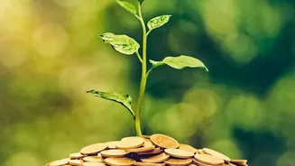 Boost emergency fund with flexi FDs