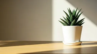 6 Okinawan Mindset Rules: Living Joyfully, Longer