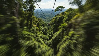 Nature Looks Better From A Zipline