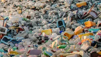 Researchers See Waste-Based Food As A Tool For Extreme Environments
