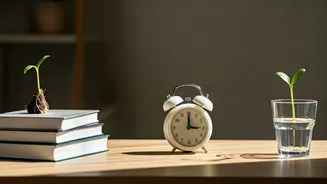 Smarter Days Start With Better Habits