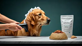 Pet Grooming And Nutrition Are Premium Lifestyle Spending Now