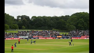 Related Stories banner