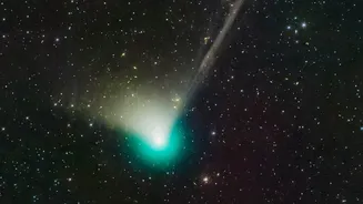 The Helix Nebula's Cometary Knots Explained Through Webb's New Image